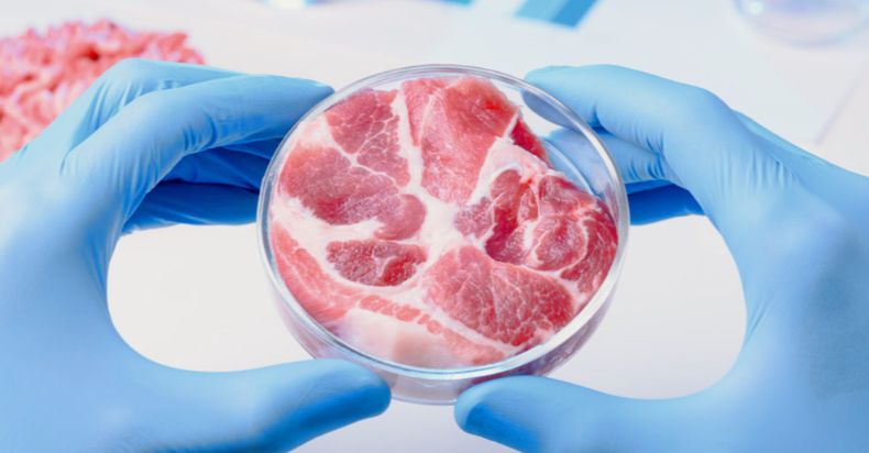 Lab Grown Meat Vegan