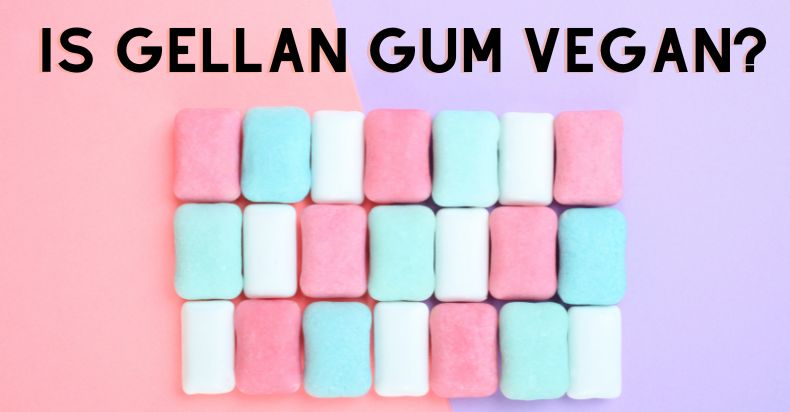 Is Gellan Gum Vegan