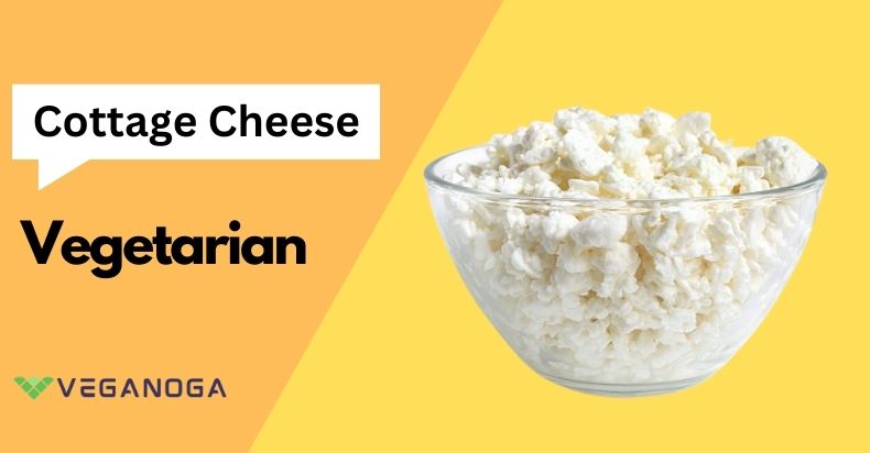 cottage cheese vegetarian