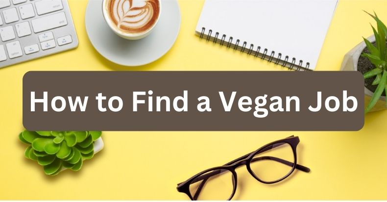 how to find a vegan job