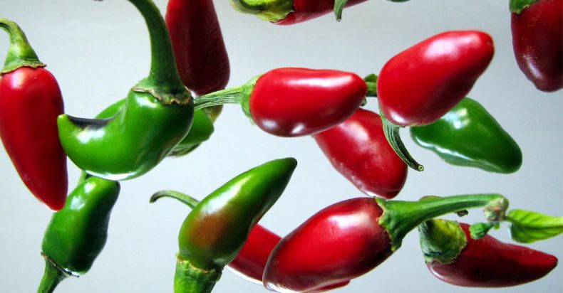 difference between red and green jalapenos
