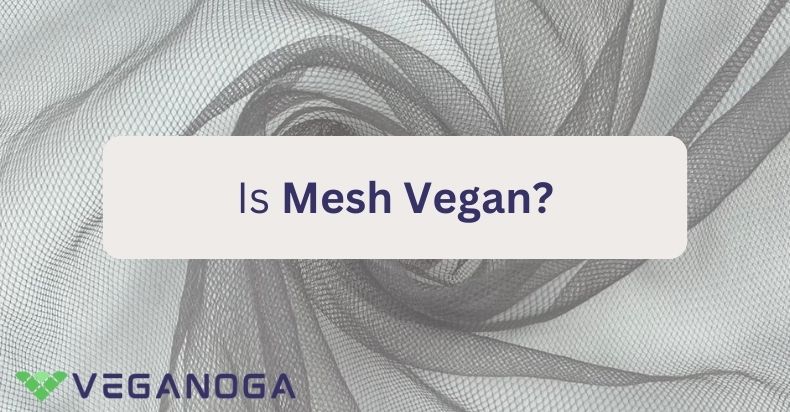 Is Mesh Vegan