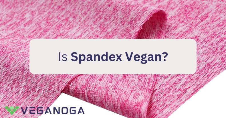 Is Spandex Vegan