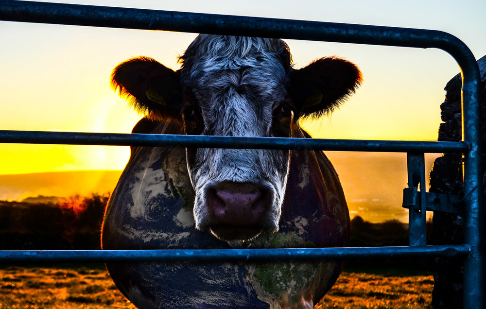 cowspiracy netflix vegan documentary