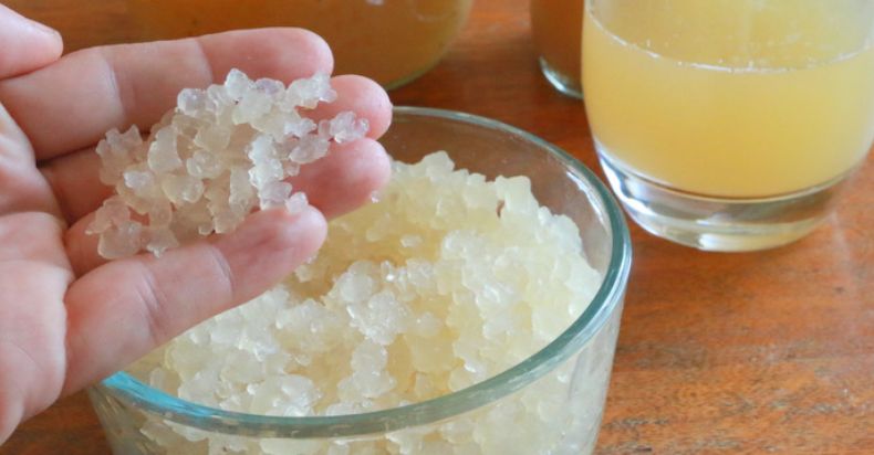 how to grow kefir grains