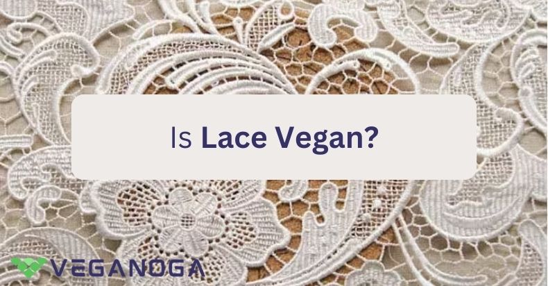 Is Lace Vegan