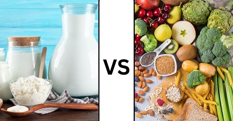 Does Vegan Mean Dairy Free Is Vegan Lactose Free 