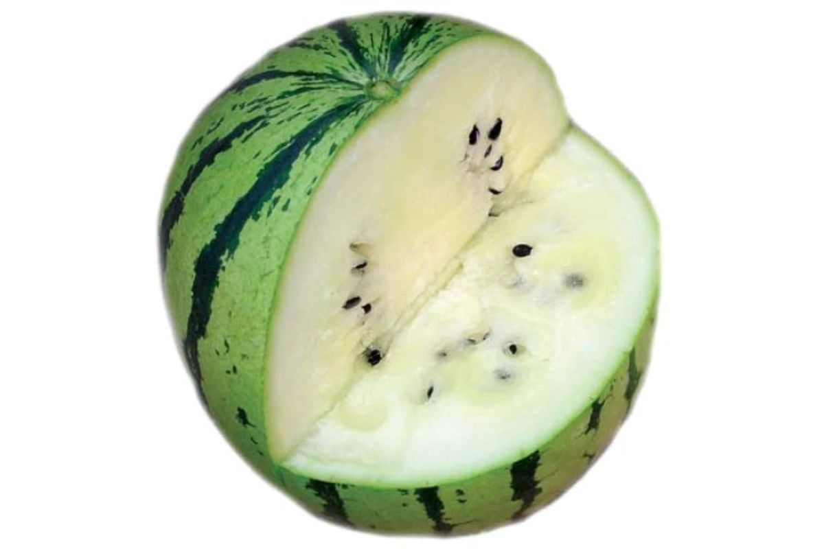 white inside watermelon