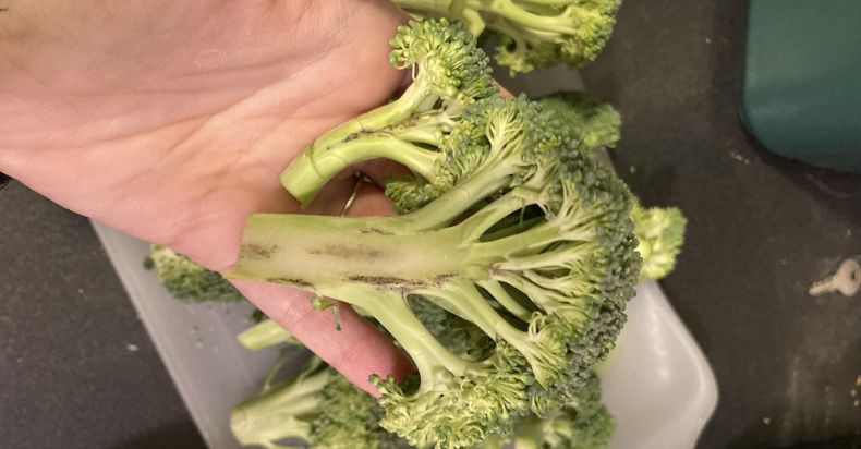 Is It Safe To Eat Broccoli With Brown Spots