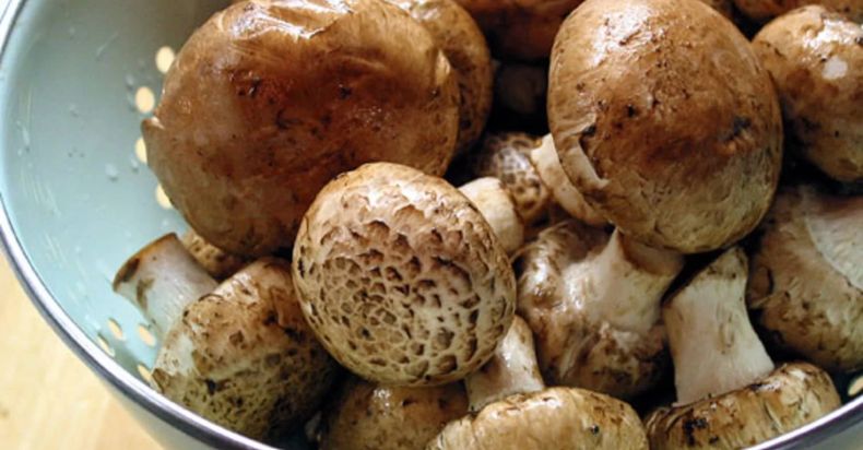 Is It Safe to Eat Mushrooms With Brown Spots
