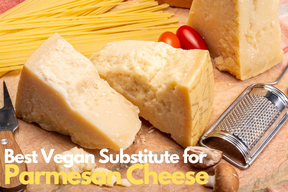 The Best Vegan Substitute for Parmesan Cheese Veganoga
