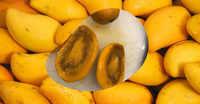 Why Your Mango Is Brown Inside