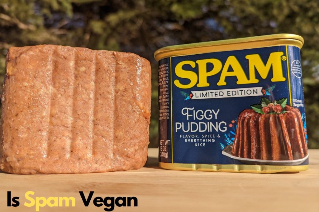 spam Vegan