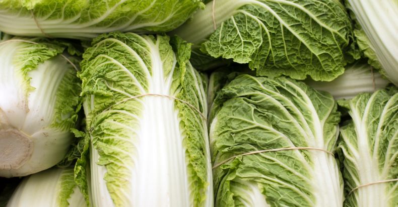 How Long Does Napa Cabbage Last
