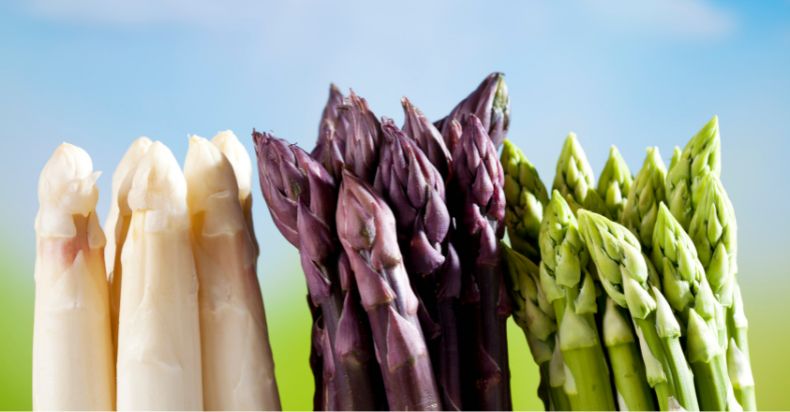 Types and Varieties of Asparagus