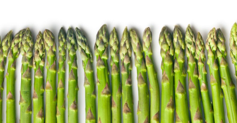 what is Asparagus