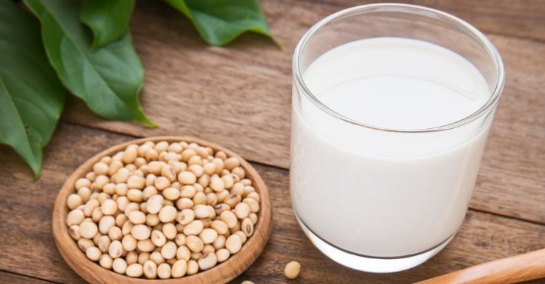 does soy milk contain lectins